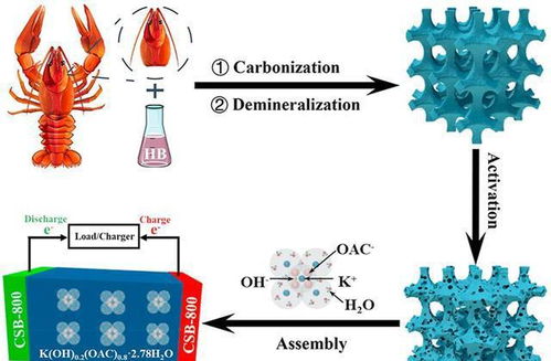 變廢為寶 科學家利用小龍蝦殼儲存能量