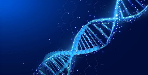 超越crispr技術 新基因編輯工具seekrna面世 精確切割靶點并插入新dna序列