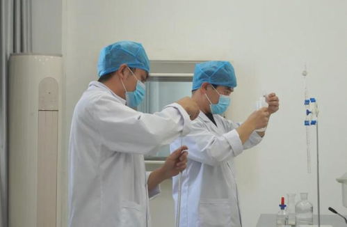 伊吾縣參展企業開啟亞博會備戰模式