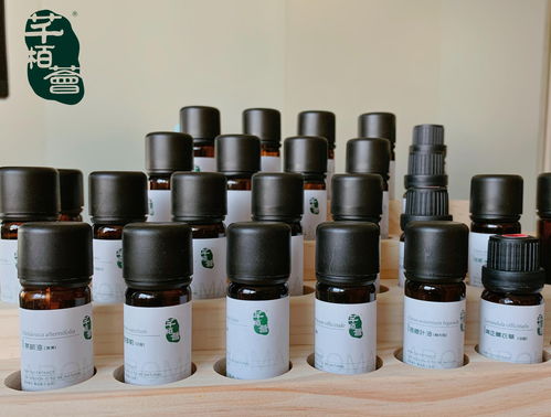 漢萃生物 引領科技與自然碰撞的革命