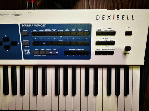 Dexibell S9對比雅馬哈機械鋼琴與工作站 選琴如品酒，硬件零售新視角